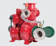 �����ÈDƬ